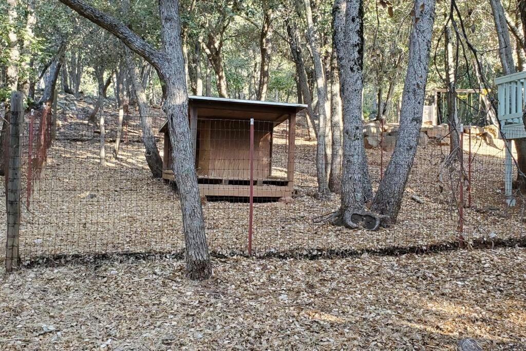Pine Hills Cabin In Julian Eksteriør bilde
